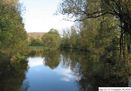 Rhume bei Bilshausen