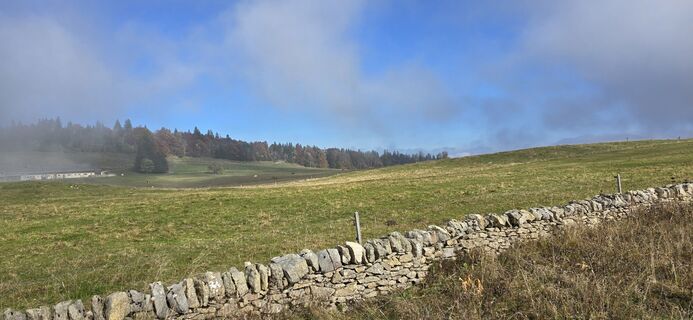 Kuva osoitteesta Zèé matkan varrella