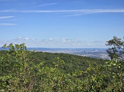 Photo de enipeus 65 le long du parcours