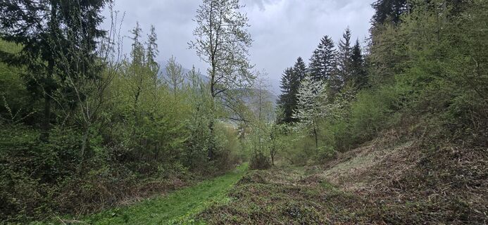 Photo de ThomasBauer le long du parcours