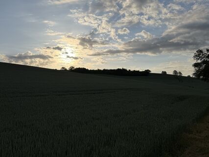 Foto von Schaali entlang der Tour
