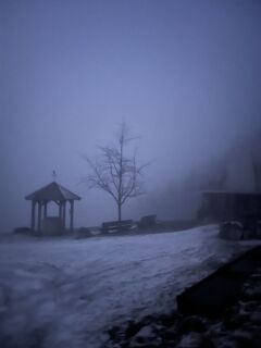 Fotografija s spletne strani Aurelian Böhler na poti