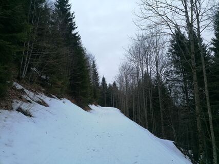 Fotografija s spletne strani luyyy na poti