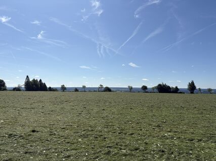 Zdjęcie z Jako Koel wzdłuż trasy