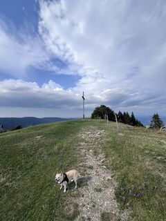 Foto von Maria Metzler entlang der Tour