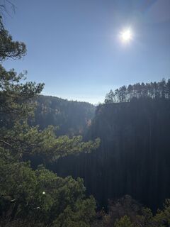 Fotografia z Steffen Kiesel na trase