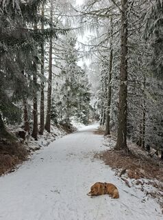 Foto von Peter Orasche entlang der Tour