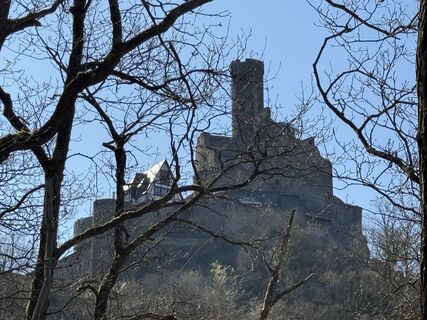 Fotografija s spletne strani Norbert Herbig na poti