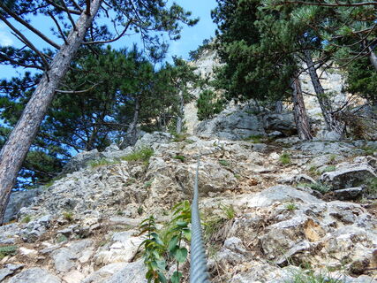 Gebirgsvereins - Klettersteig