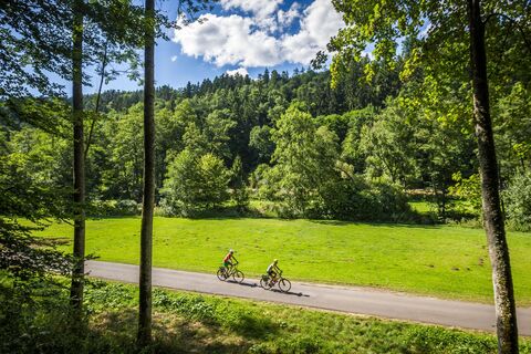 Nagoldtalradweg