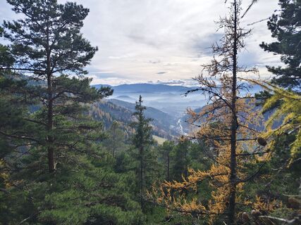 Fotografia z Edit Beliczai na trase