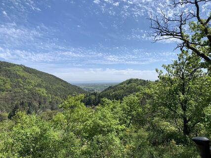 Foto de Dirk Steinert a lo largo del recorrido