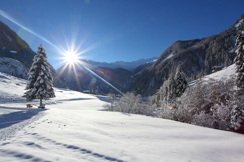 Weg zum Ötzlsee