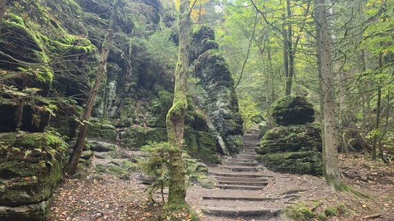 Foto von michael.do entlang der Tour