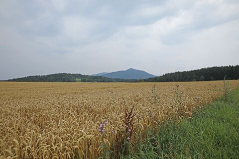 Hoher Bogen
