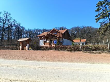 Zdjęcie z Julika Jármer wzdłuż trasy