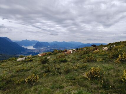 Foto de Stefano Suter a lo largo del recorrido