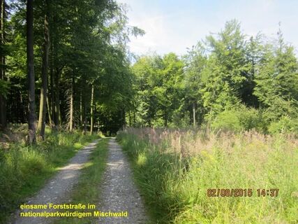 Aussichtsreiche Forststraßen am Barnacken