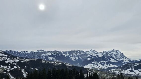 Fotografija s spletne strani Marlyse Leu na poti