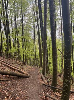 Foto von Robert Kremlicka entlang der Tour
