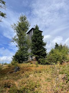 Photo de Mathias Junge 1 le long du parcours