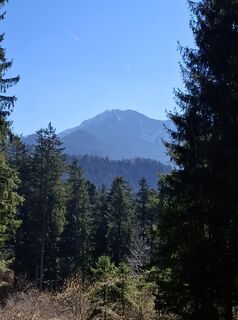 Foto von Miha Gros entlang der Tour