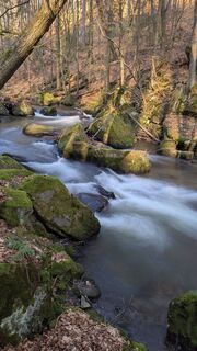 Zdjęcie z hochlandfamilie wzdłuż trasy