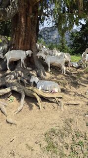 Foto von Thomas Reickersdorfer Reicki entlang der Tour