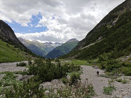 Fotografija s spletne strani Xenia Lange na poti