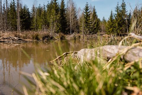 Zum Fuße des Burgbergs – Zahlreiche Seen sind entlang des Weges zu finden