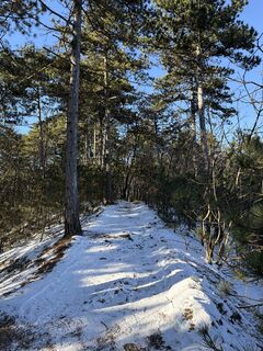 Foto de Attila Máté a lo largo del recorrido
