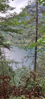 Foto von Sandra Winkelmann entlang der Tour