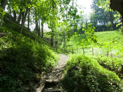 Weg vor Kloster Plaffeien - Freiburger Voralpenweg Etappe 2