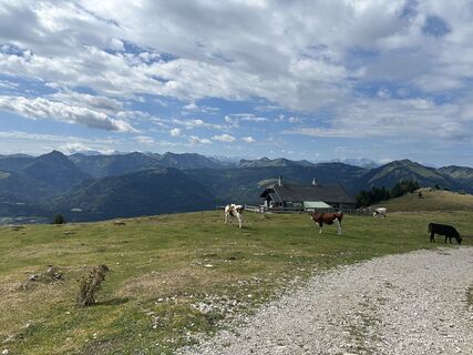 Foto von Flo.Meier entlang der Tour