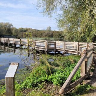 Steg im Sumpfgebiet der Cavins in Bourdon