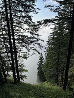 Foto von Felix Gschossmann entlang der Tour