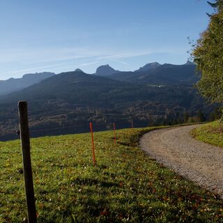 Weg entlang des Burgerwalds - Gibelegg Rundtour