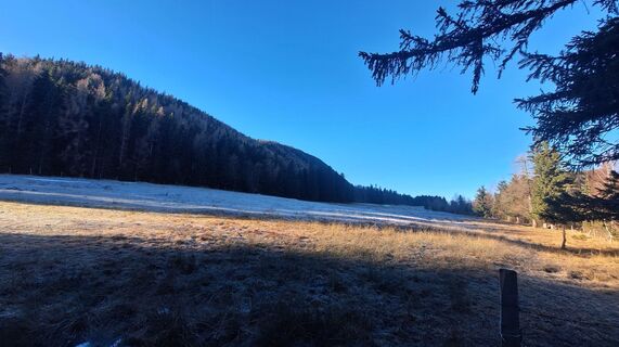 Fotografija s spletne strani Regina Fleischmann na poti