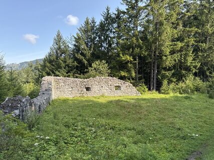 Photo de Grizzli le long du parcours