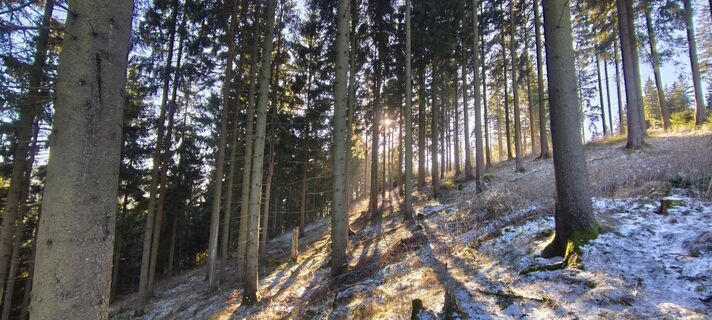 Photo de Jan 2505 le long du parcours