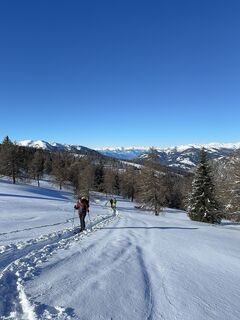 Foto von gdog entlang der Tour