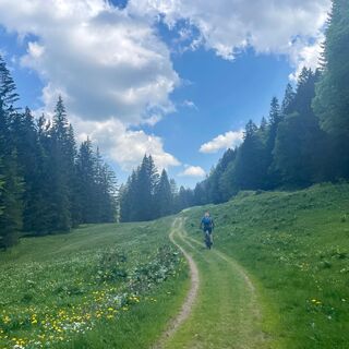 Schöner Wiesentrail im Leckner Tal