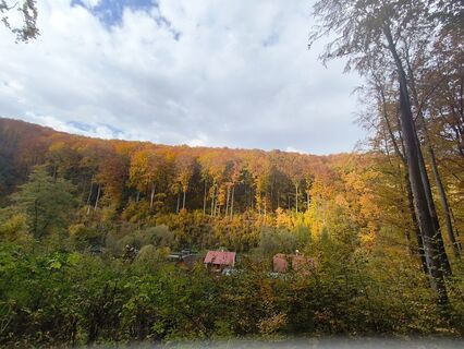 Zdjęcie z Virágos Tímea wzdłuż trasy