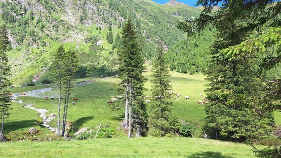 Photo de Monalisa le long du parcours
