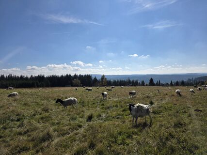 Fotografie de la Patrick Dubois de-a lungul turului