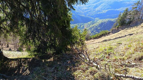 Fotografija s spletne strani Róbert Balogh na poti