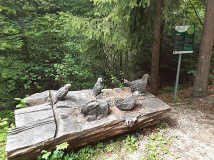 Wald- und Jagdlehrpfad in Eichberg
