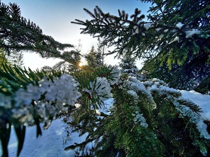 Winterimpression