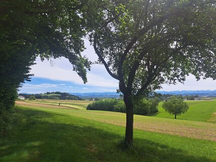 Fotografija s spletne strani Bellou na poti