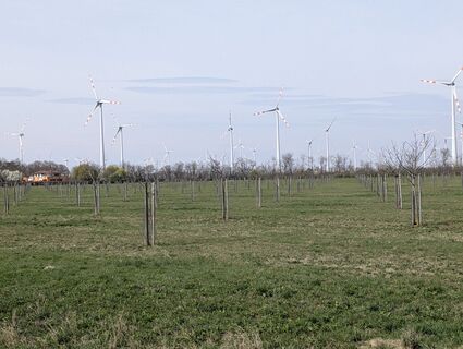 Foto von Franz Dvoran entlang der Tour